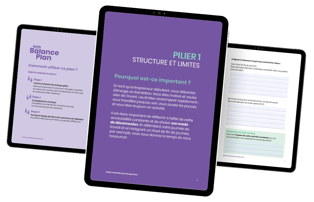 Balance Plan pour les indépendants