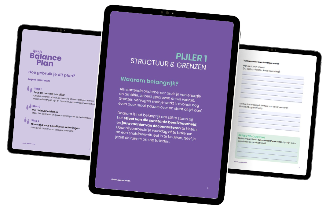 Balance Plan voor ondernemers