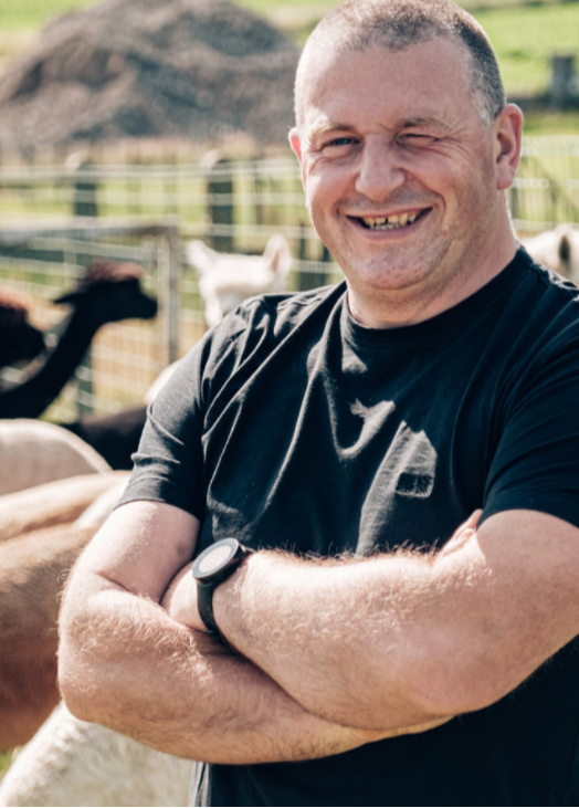 alpaca-tumulus-mainphoto-1